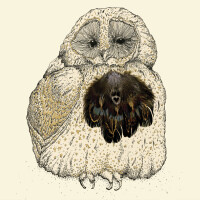 Anna Wright Gru&szlig;karte mit Umschlag Owlie 15 x 15