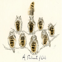Anna Wright Grußkarte mit Umschlag A Parliament of Owls 15 x 15
