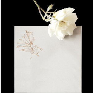 Anna Wright Grußkarte mit Umschlag Happy Birthday Black Bird 15 x 15 cm