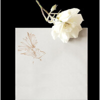 Anna Wright Grußkarte mit Umschlag Happy Birthday Black Bird 15 x 15 cm