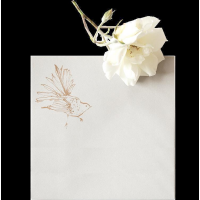 Anna Wright Grußkarte mit Umschlag Love Birds 15 x 15 cm
