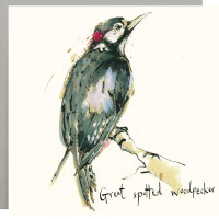Anna Wright Grußkarte mit Umschlag Great Spotted Woodpecker15 x 15 cm