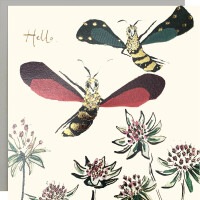 Anna Wright Grußkarte mit Umschlag Hello...Bees Gold Foil Card