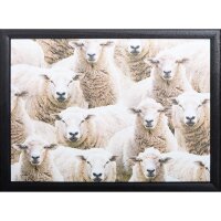 Knietablett mit Kissen Sheep – schwarzer Rahmen |...